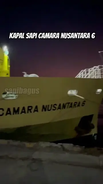 Kapal-Sapi-Camara-Nusantara-6
